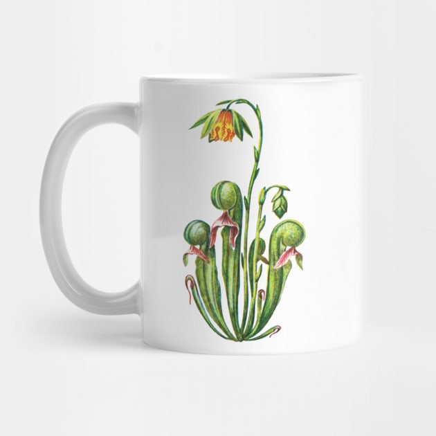 Kopie von Cobra Lily Darlingtonia Californica Apparel Botanical Drawing Pitcher Plant by Venus Fly Trap Shirts